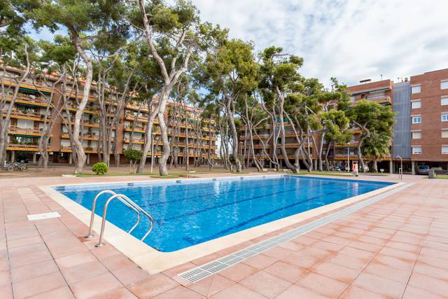 Piso en Venta en Passeig de Francesc Macià, 64 en Platja de la Paella