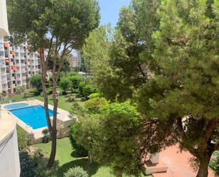 Garden of Flat to rent in Fuengirola  with Air Conditioner, Terrace and Balcony