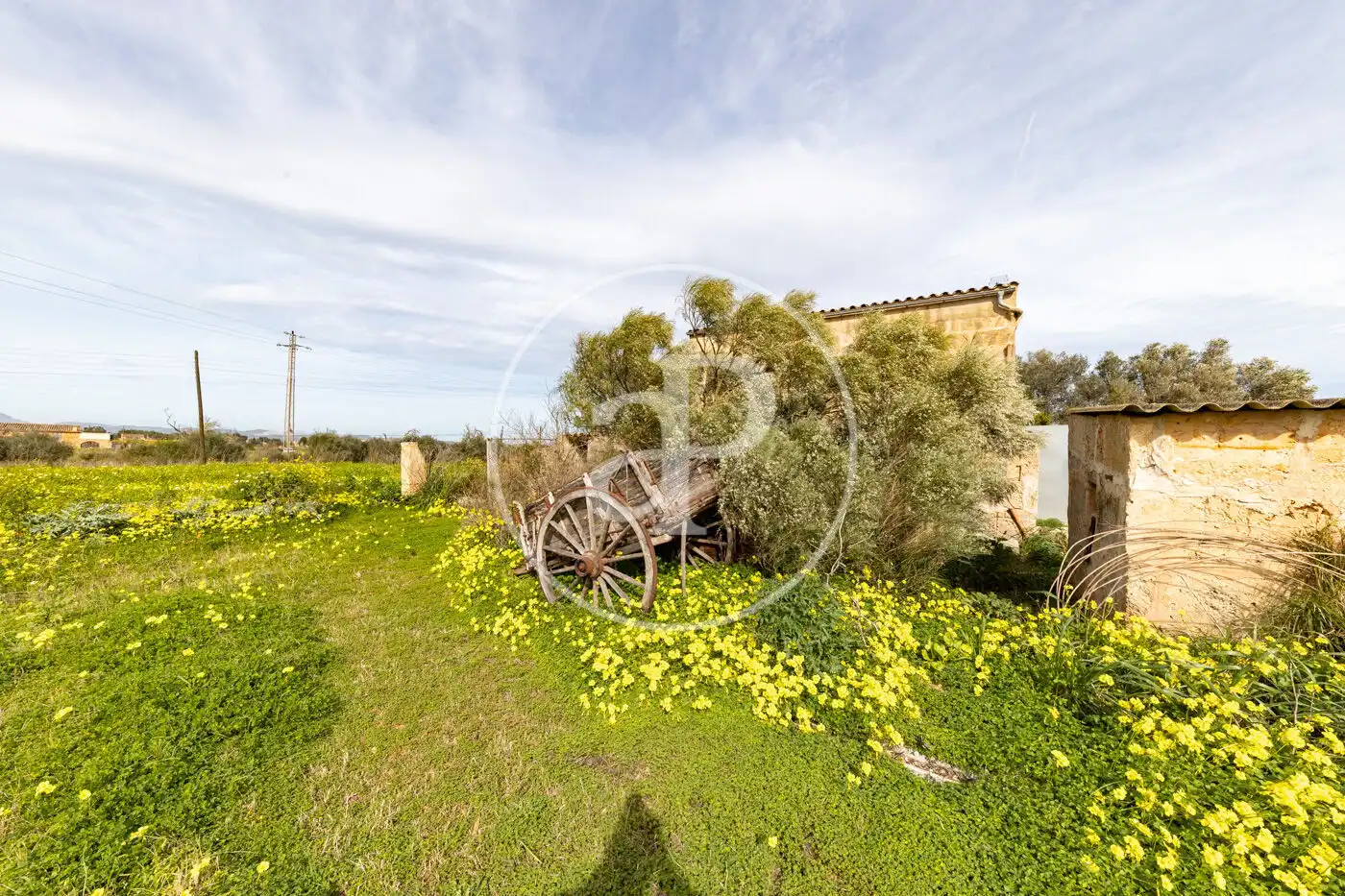 Finca rústica en venta en Campos con Jardín privado y Trastero