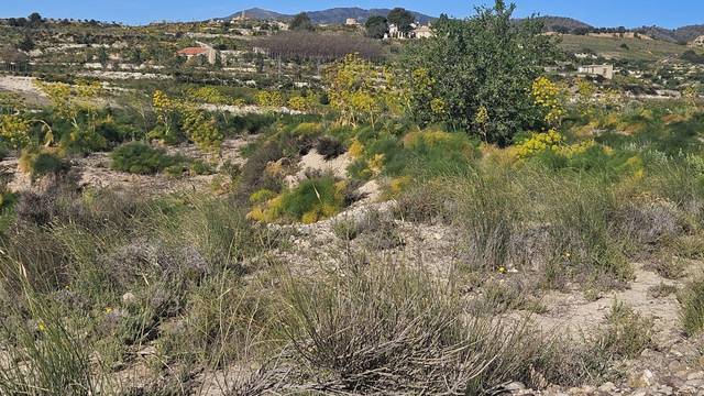 Terreno en Venta en Polígono Los Leones en Corvera