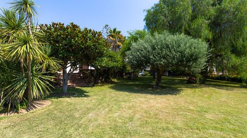 Foto 3 de Casa o chalet en venta en Cabrera de Mar, Barcelona
