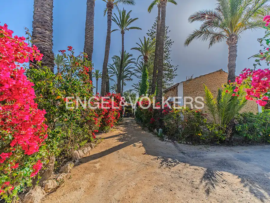 Vista exterior de Casa o xalet en venda en Elche / Elx amb Calefacció, Jardí privat i Terrassa