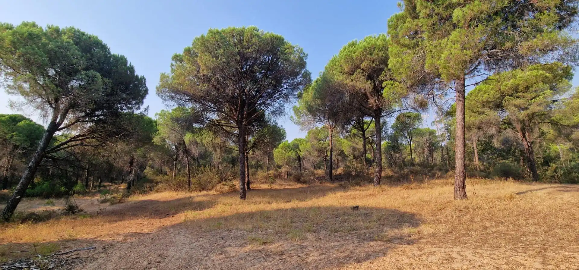 Terreno en venta en Villablanca