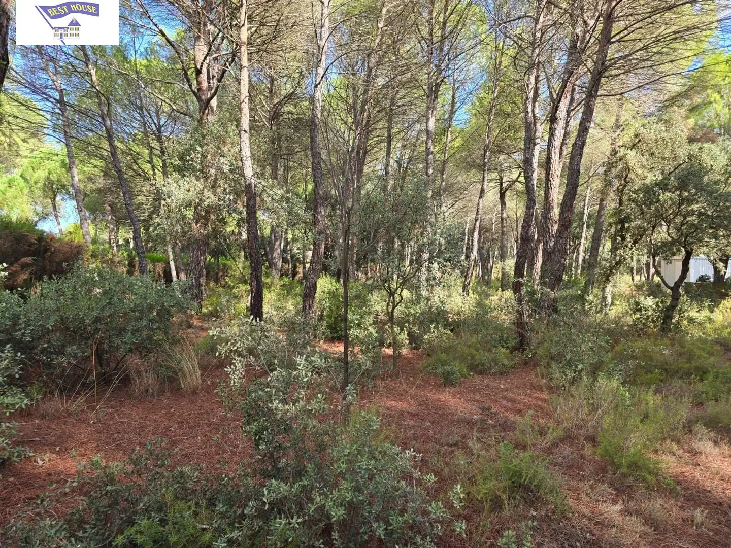 Terreno rustico in vendita a Pedanías - Extrarradio, imagen 11