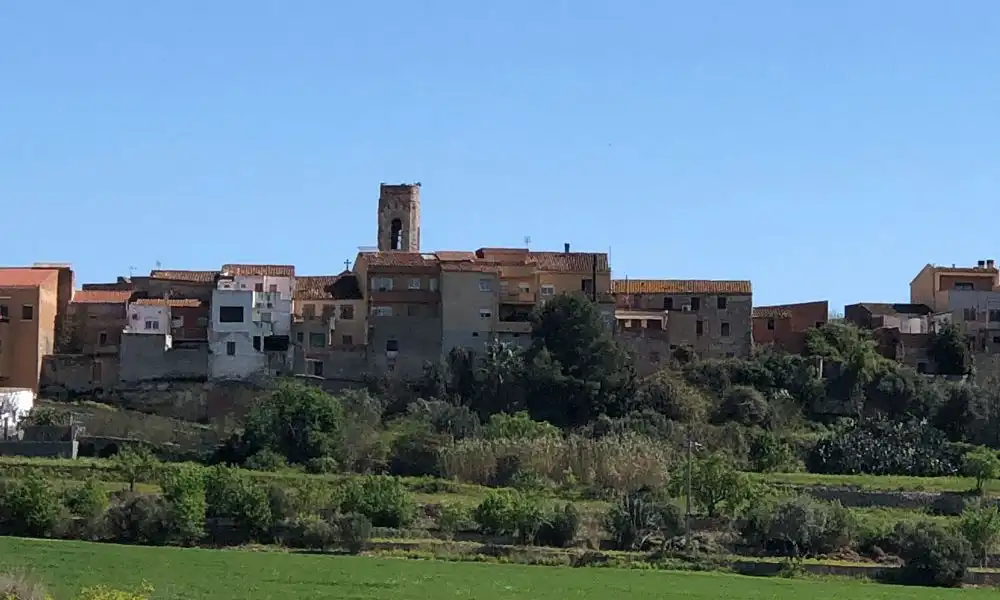 Terreno rustico in vendita a Perafort, imagen 4