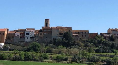FINCA RUSTICA DE 5 HECTÁREAS EN PERAFORT, immagine 4