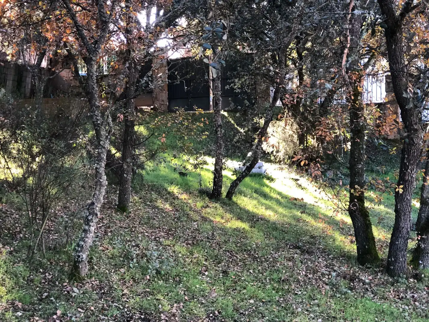 Wohnbaugrundstück zum Verkauf in Calle la Encina 267, imagen 4