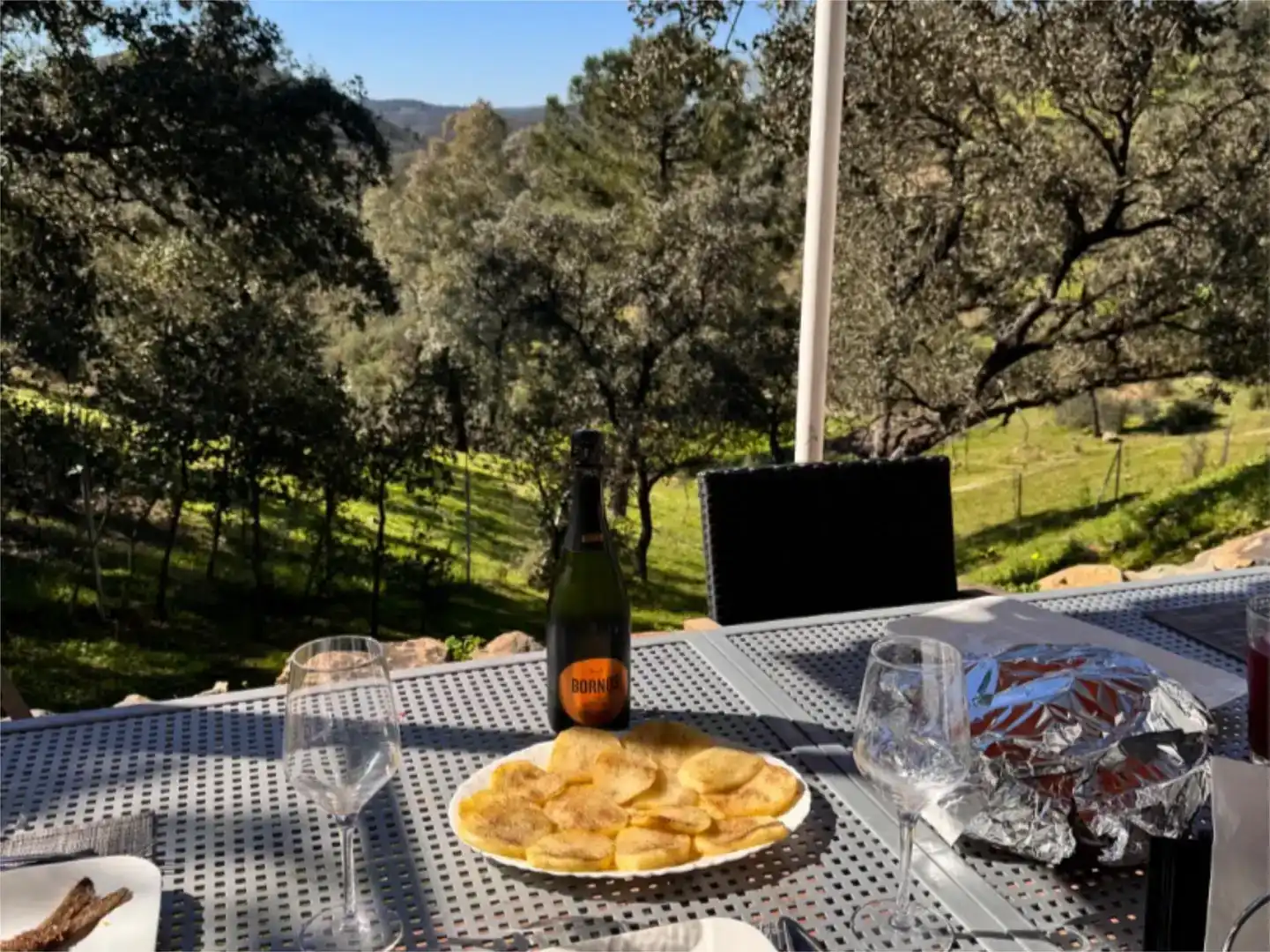 Jardín de Finca rústica en venta en El Madroño con Aire acondicionado, Jardín privado y Parquet