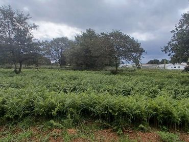 Terreno residenziale in vendita a BOISACA