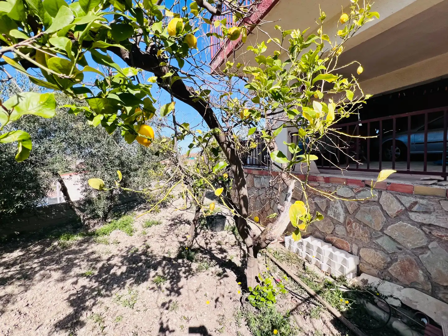 Casa o xalet en venda en Petrer amb Aire condicionat, Jardí privat i Terrassa