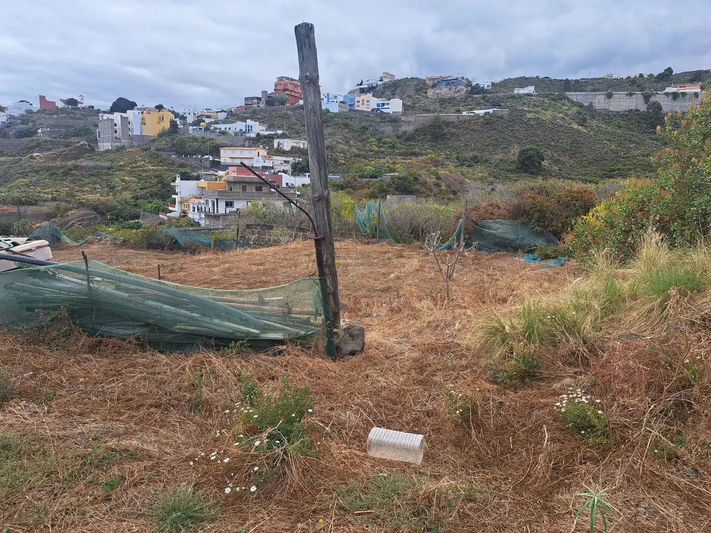 Land for sale in La Guancha