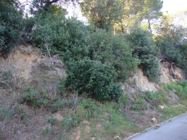 Terreno residencial en Venta en Carrer Collsacreu, 16 en Sant Cebrià de Vallalta