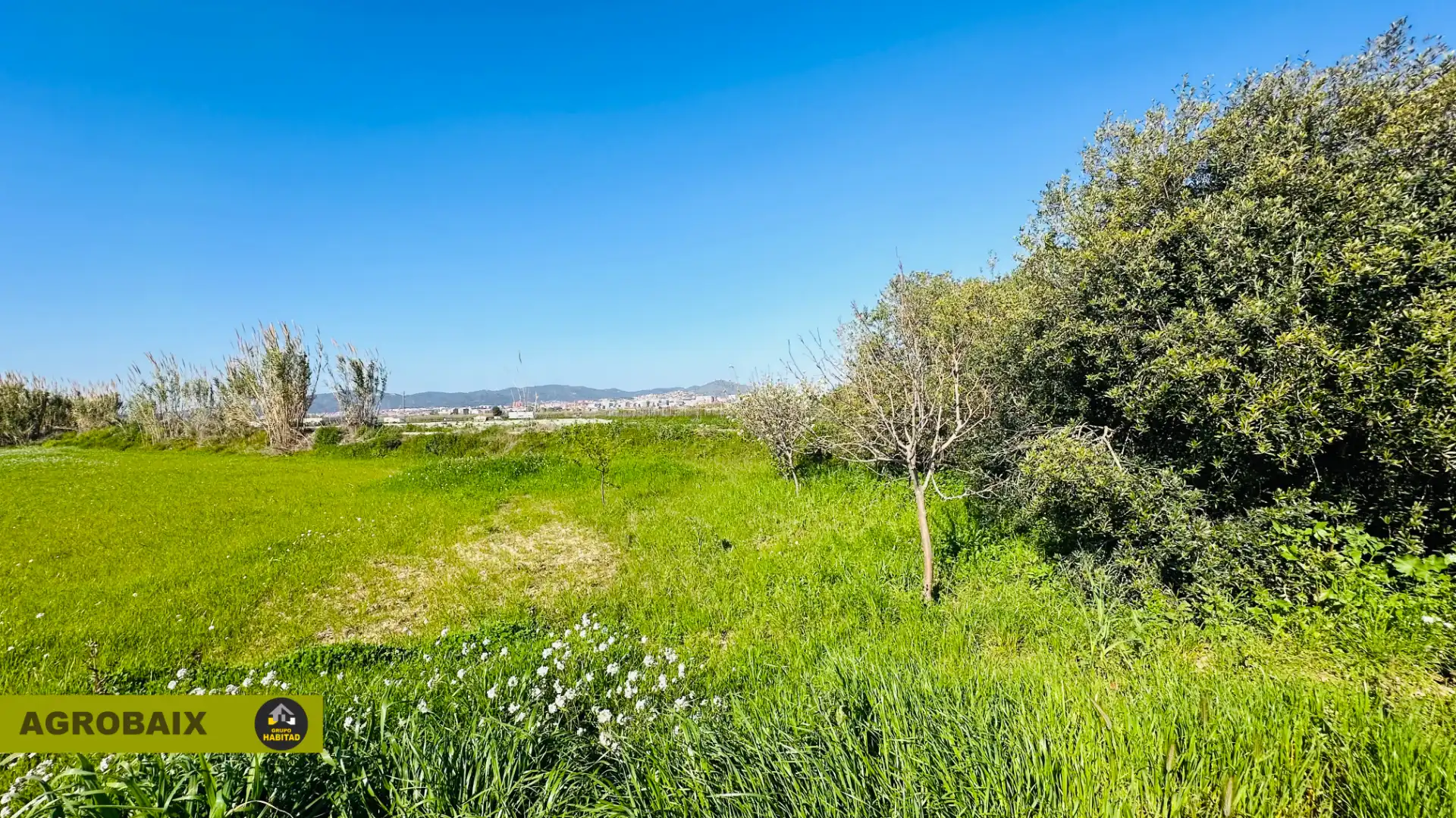 Rural land for sale in Vinyets - Molí Vell, imagen 12