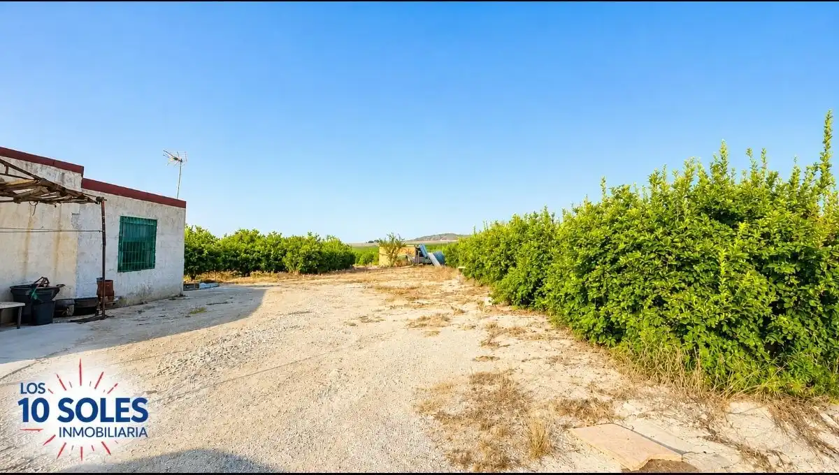 Terreno rústico en venta en Jacarilla, imagen 7