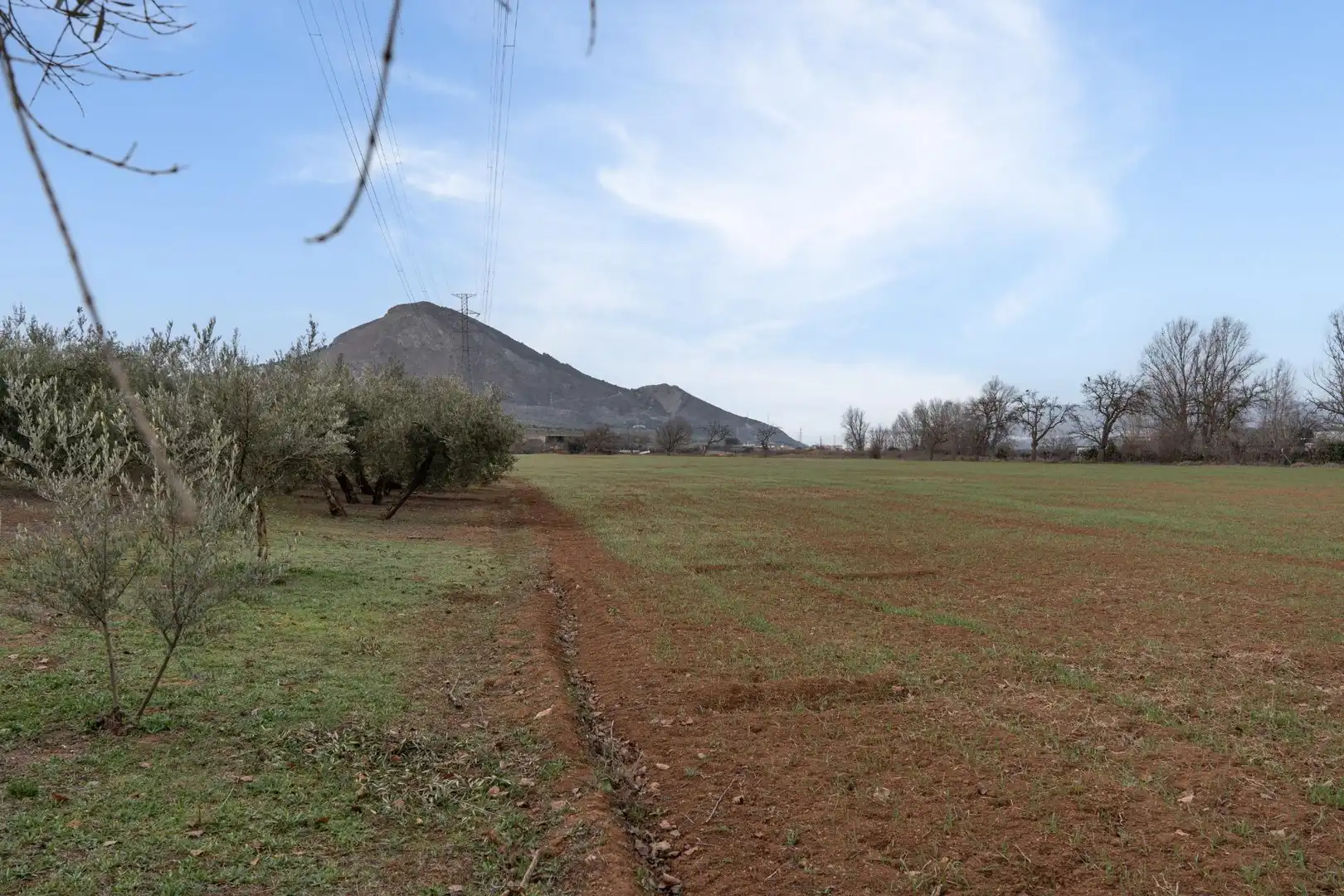 Terrenys i solars en venda a Polígono 23 Parcela 63 LA ZANJA. ALBOLOTE (GRANAD 23, imagen 26