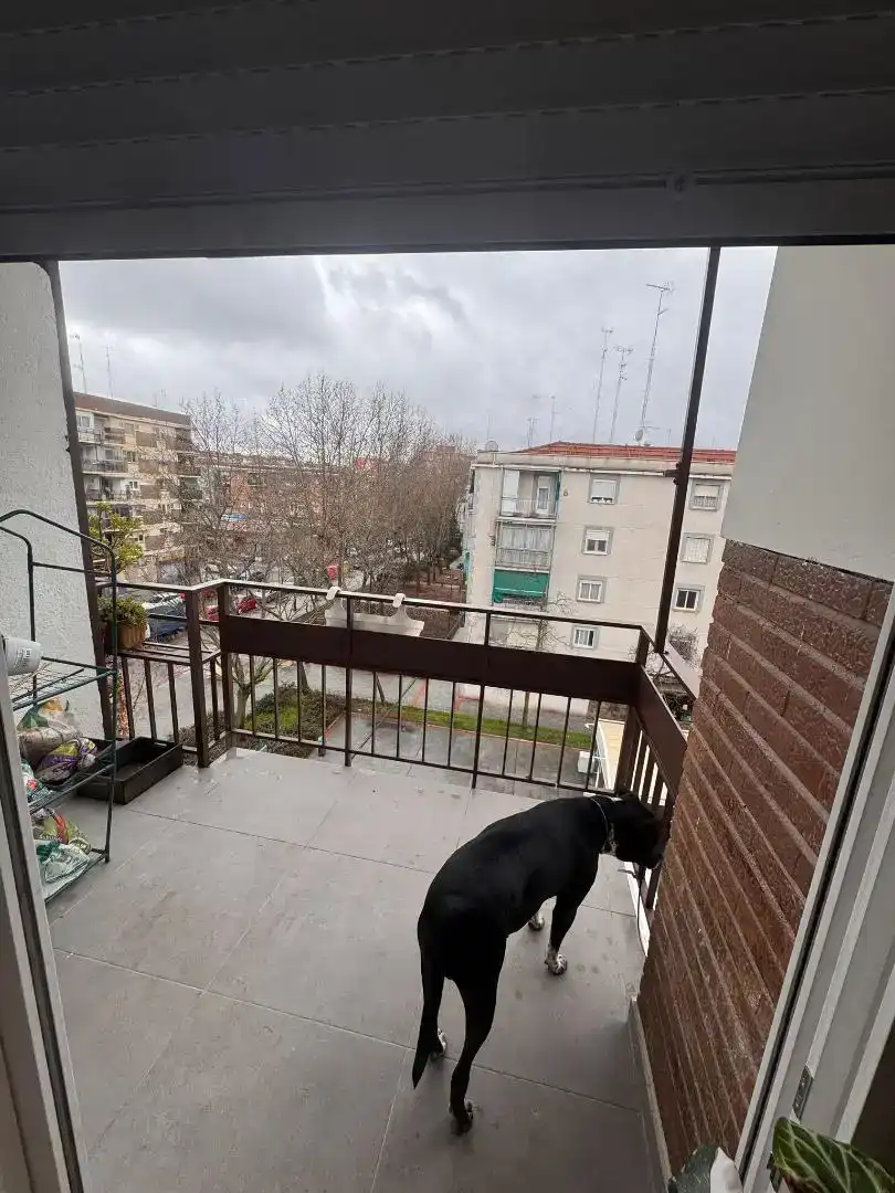 Balcony of Flat for share in Alcorcón  with Oven, Washing machine and Microwave