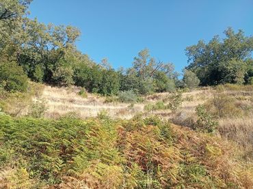 Terreno rústico en venta en Valverde de la Vera