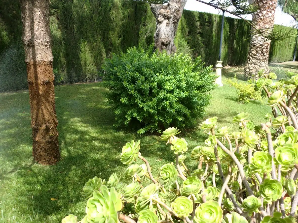Villa avec piscine à vendre à Valverde, imagen 36