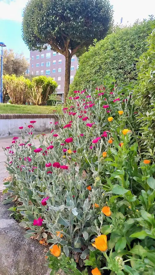 Jardín de Piso en venta en Culleredo con Calefacción, Parquet y Trastero