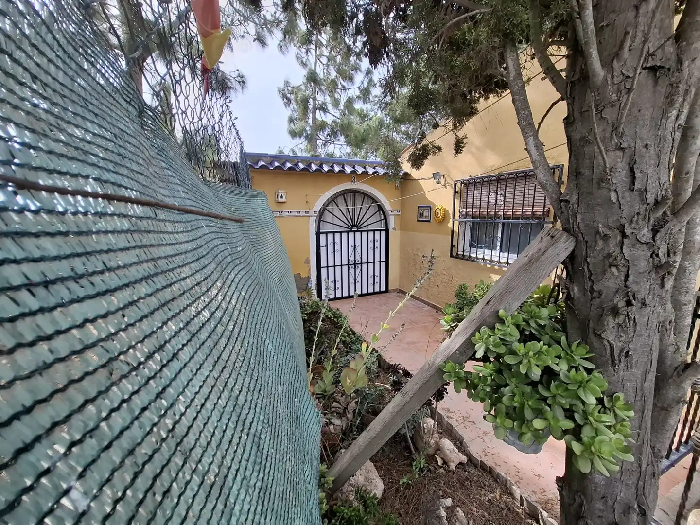 Finca rústica en venda a Partida Saavedra, El Edén