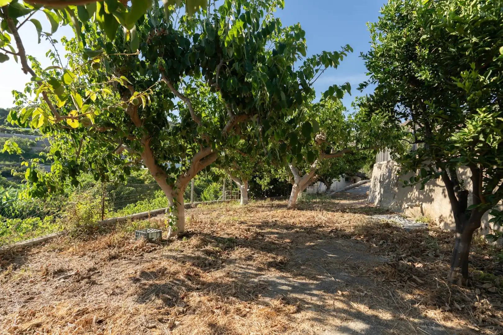 Casa amb jardí en venda a Polígono  Cañada minasierra. poligono 19-parcela 194 y 58, imagen 20