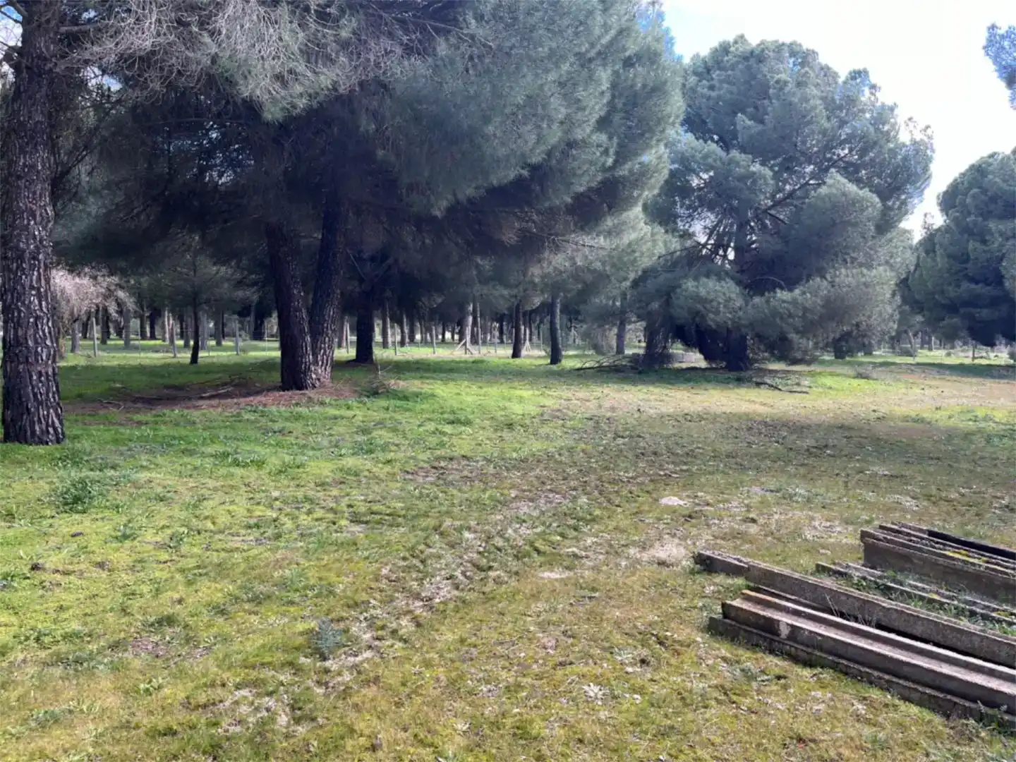 Finca rústica en venta en Alcazarén, Valladolid