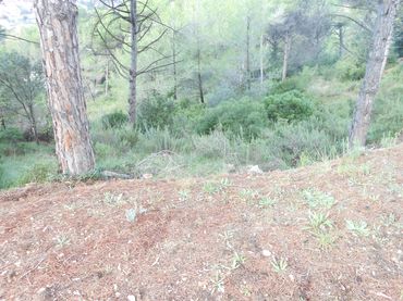Terreni e lotti in vendita a Castellnou - Can Mir - Can Solà
