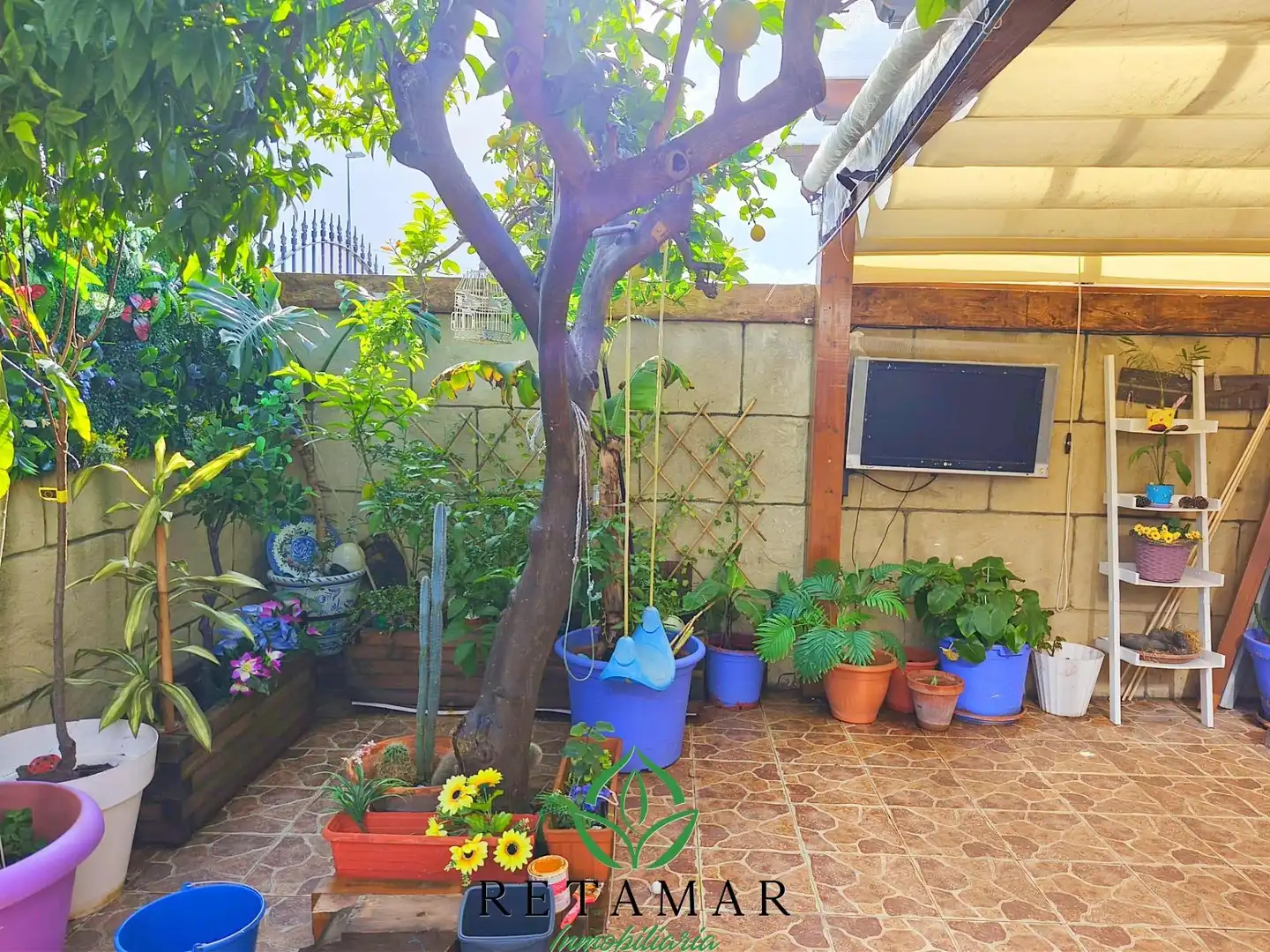 Terrace of Detached homes for sale in Jerez de la Frontera