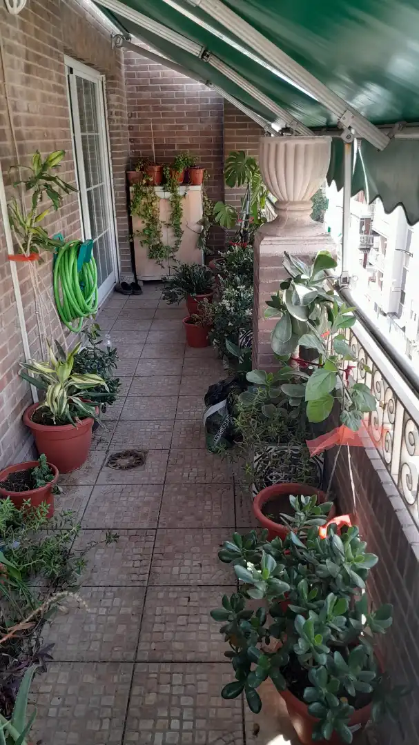 Terrace of Attic for rent in Granada  with Air Conditioner, Terrace and Furnished