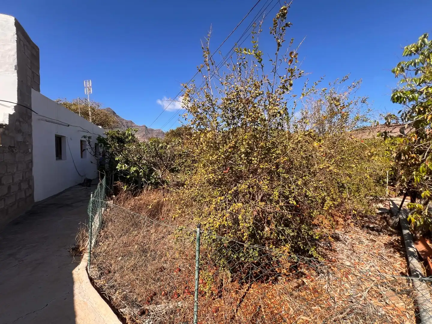 Casa rústica con jardín en venta en La Aldea de San Nicolás, imagen 44