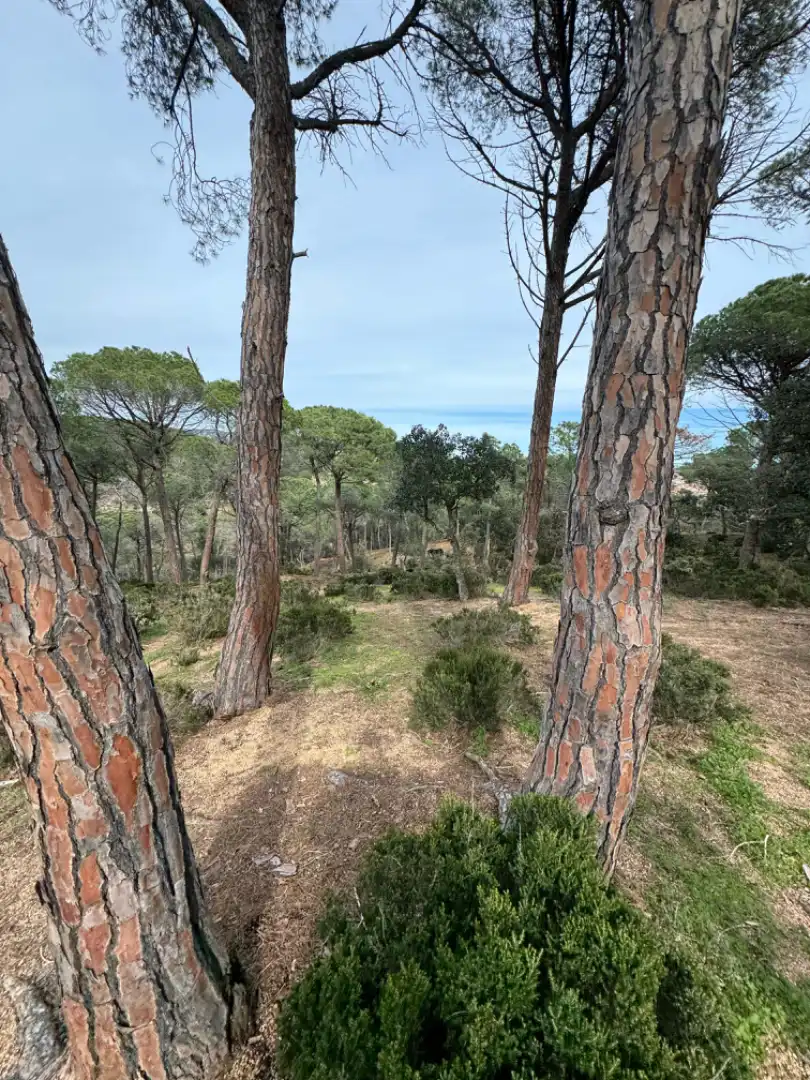 Finca rústica en venta en Carretera Sant Amanç, 2, Mas Trempat - Sant Amanç - Casa Nova