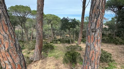 Photo 4 of Country house for sale in Carretera Sant Amanç, 2, Mas Trempat - Sant Amanç - Casa Nova, Girona