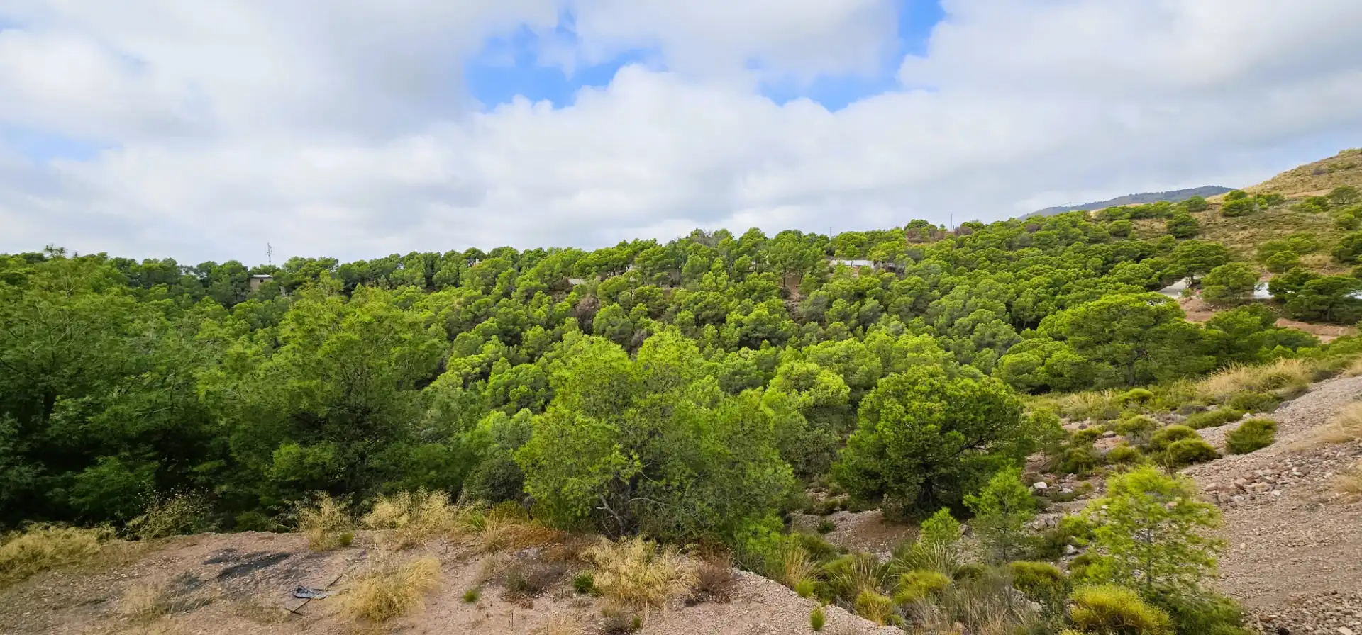 Casa o chalet en venta en Totana con Calefacción, Jardín privado y Terraza