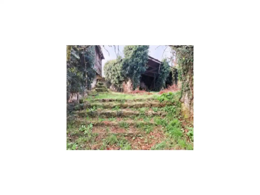 Jardín de Casa o chalet en venta en Silleda