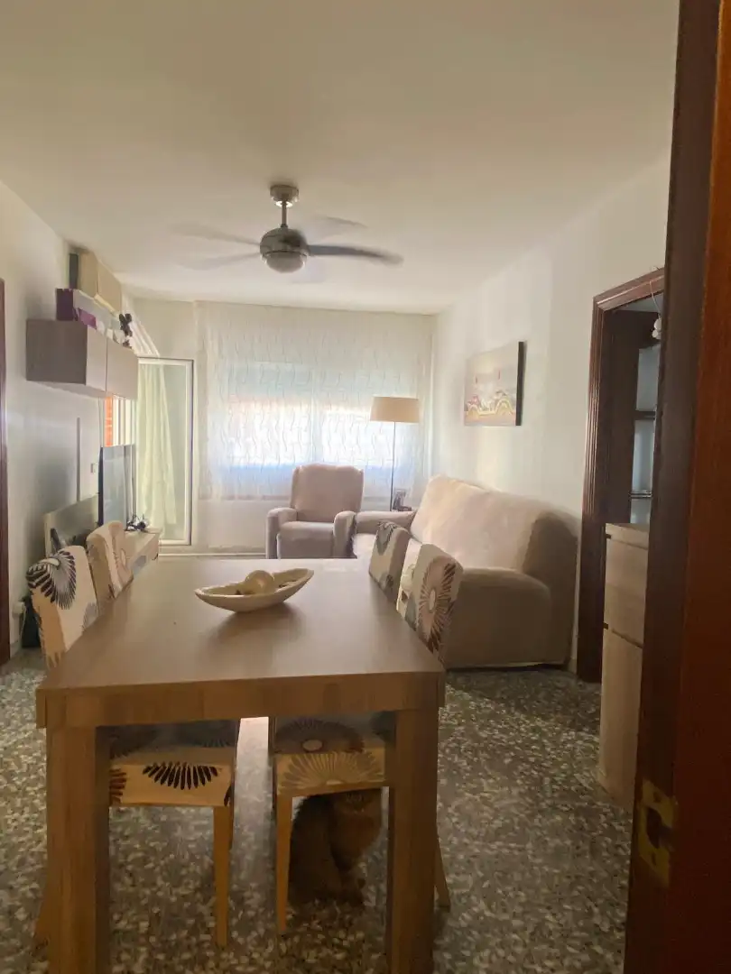 Appartamento con terrazza in vendita a Carrer de Sant Lluís 29, imagen 3