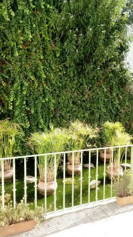 Garten von Wohnungen zum Verkauf in Tarifa