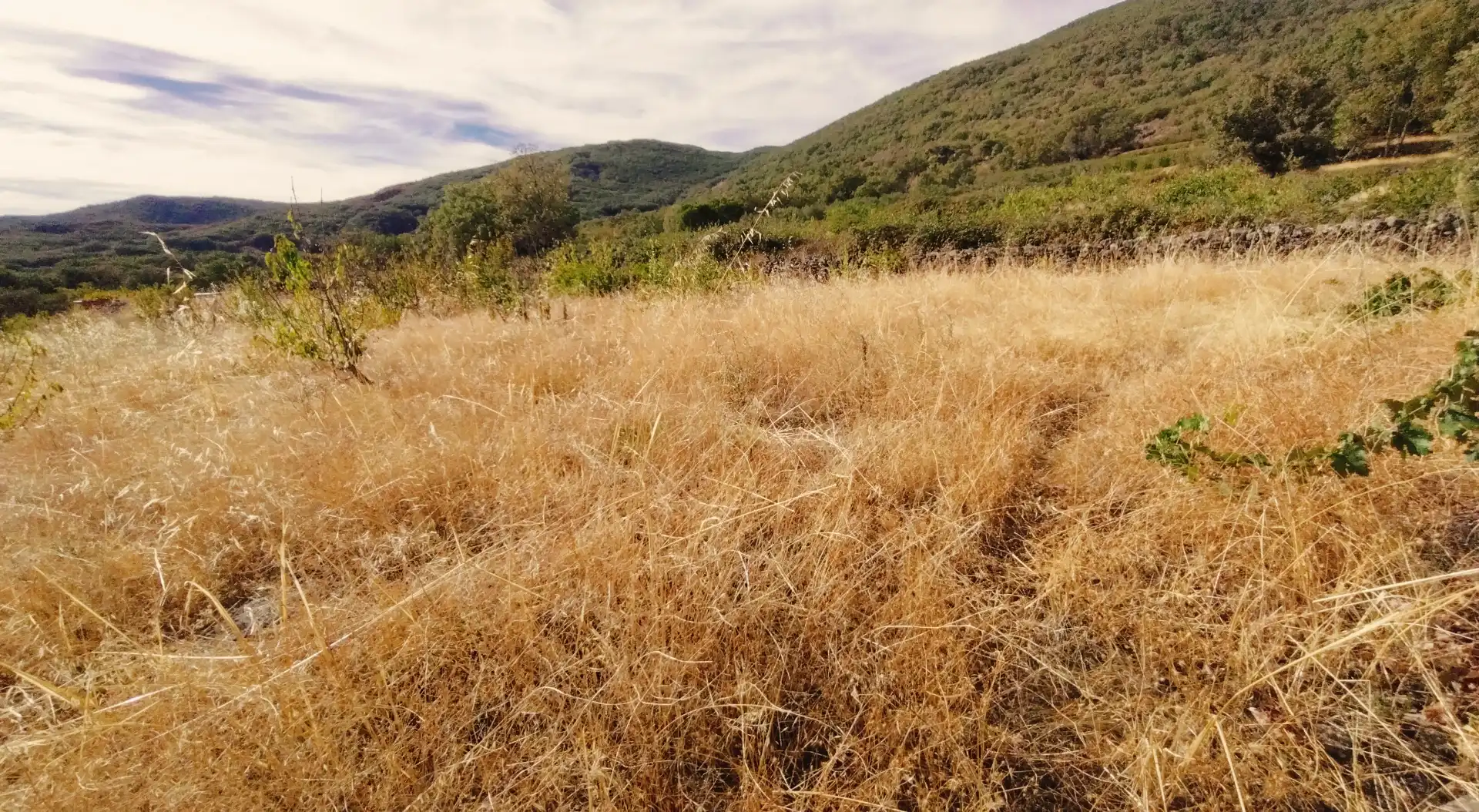 Terrain rustique à vendre à Avenida Extremadura 72, imagen 11