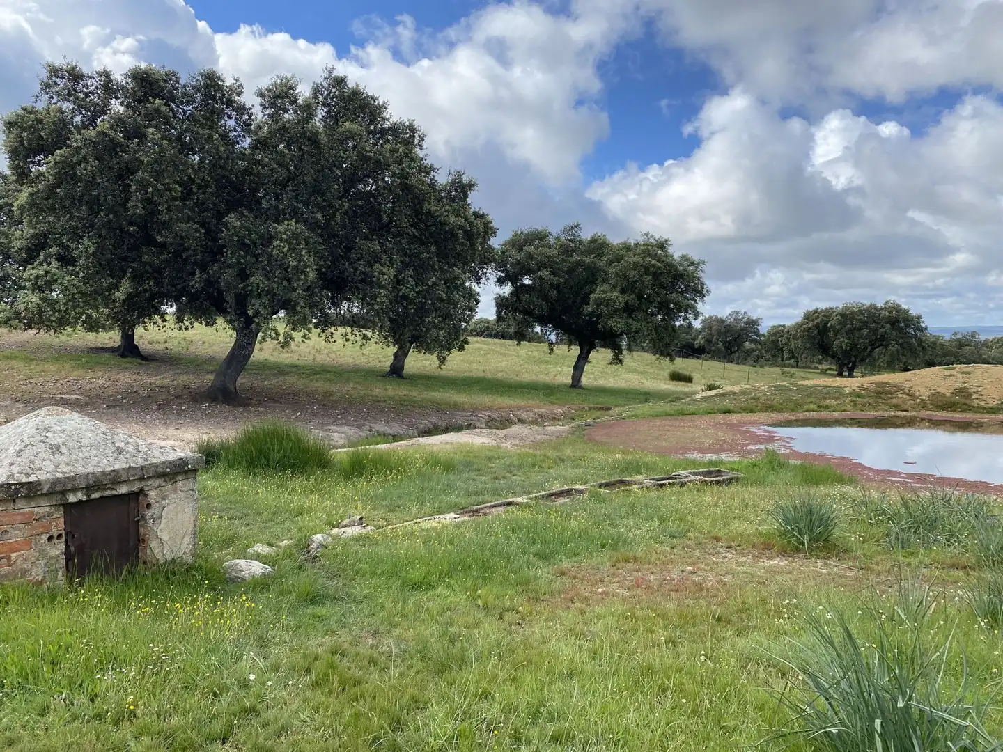 Terreno en venta en Deleitosa