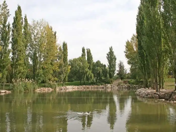 Jardí de Finca rústica en venda en Villaviciosa de Odón amb Aire condicionat, Calefacció i Jardí privat