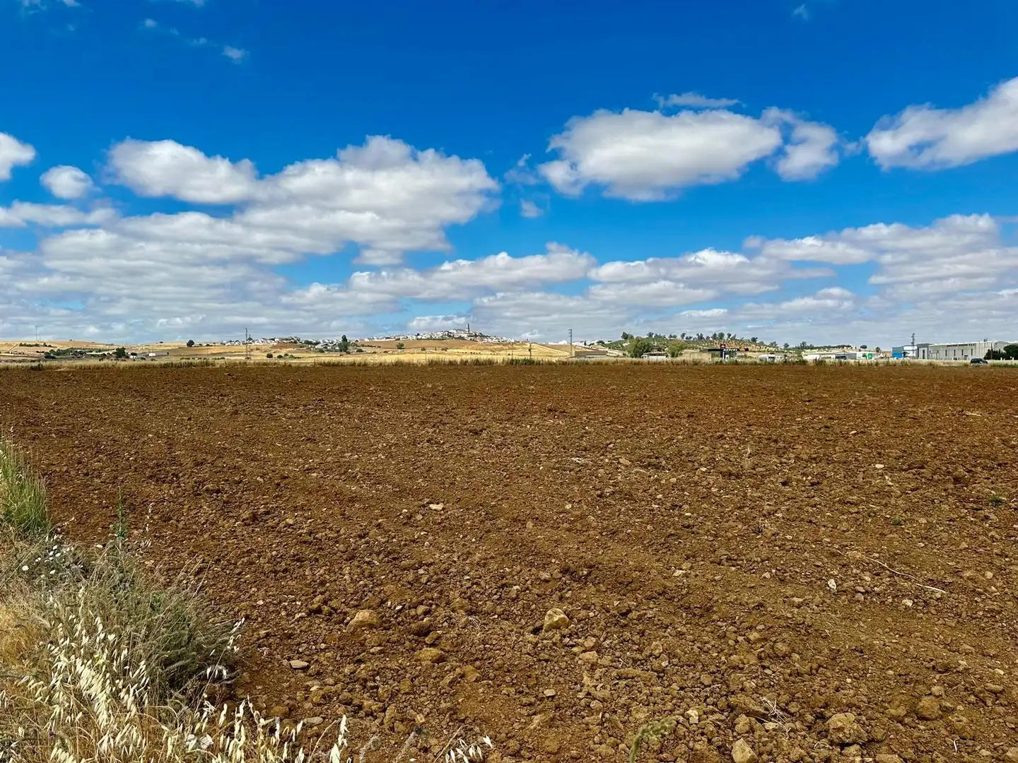 Rural land for sale in Fuente Obejuna, imagen 8