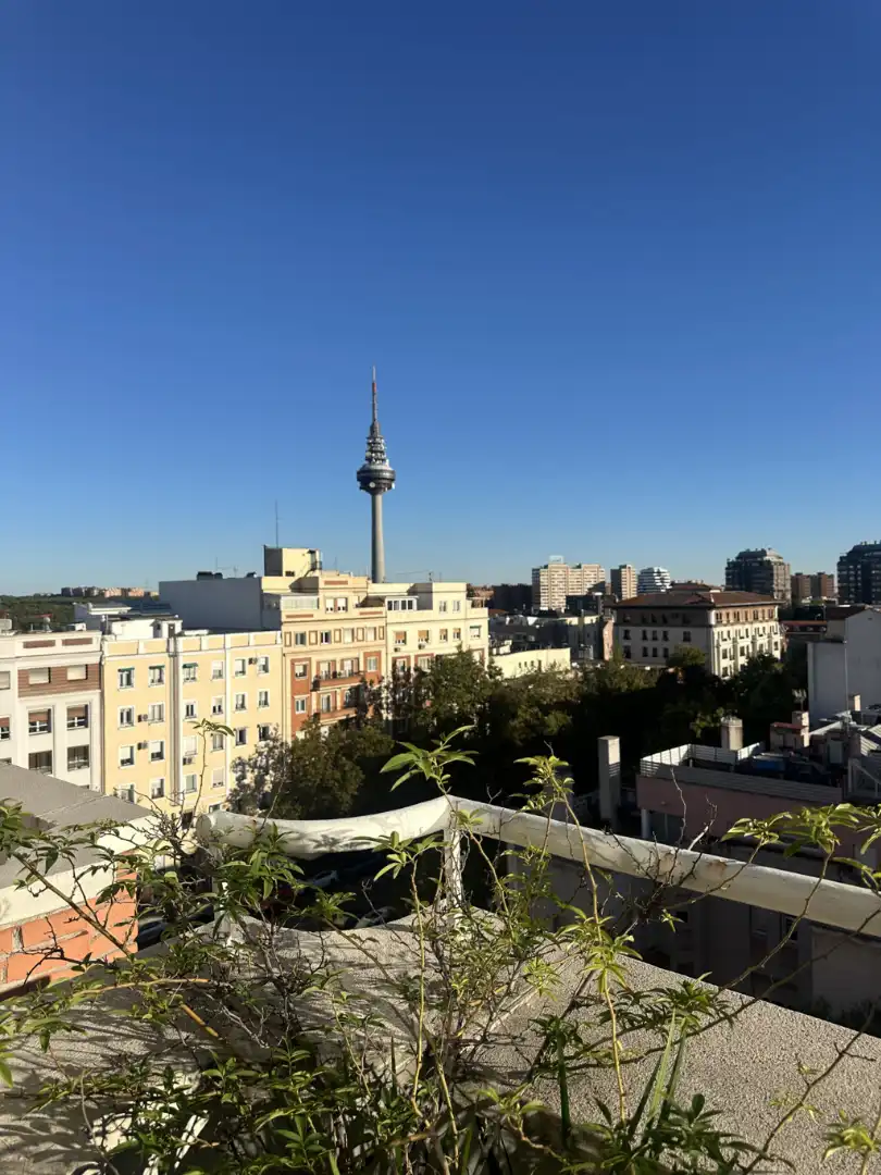 Wohnung mit Terrasse zum Verkauf in Calle de Goya, imagen 8
