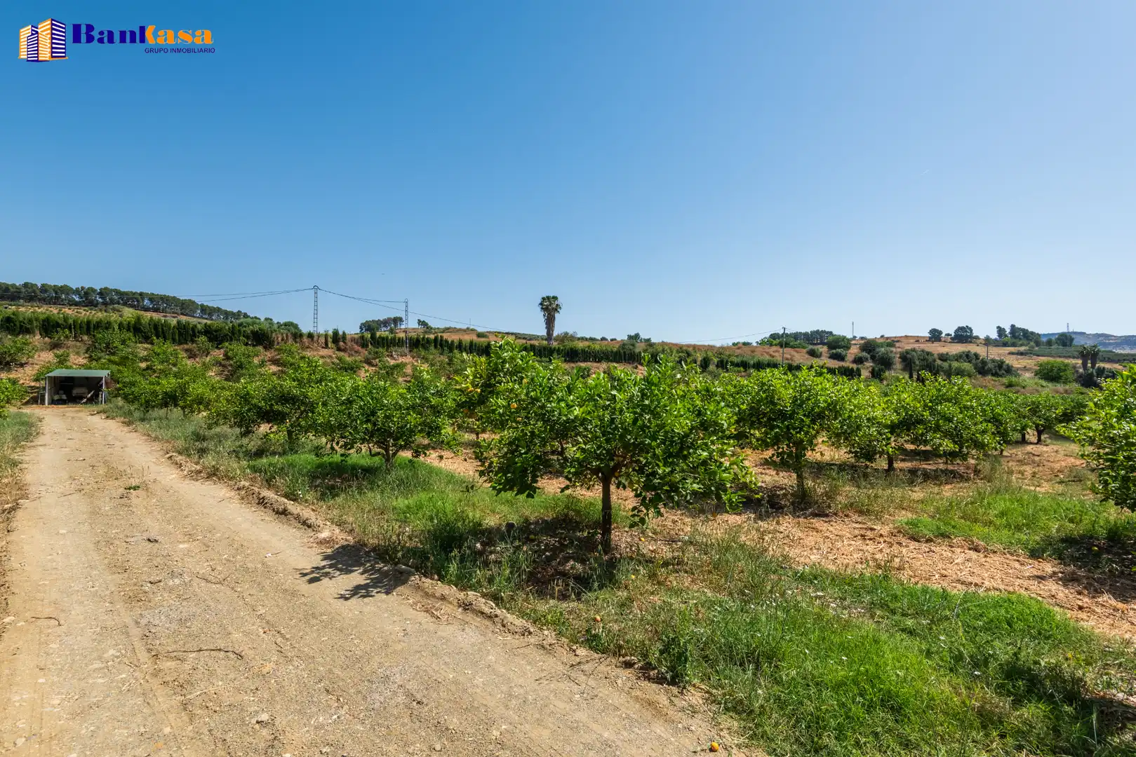 Terreno en venta en Pizarra
