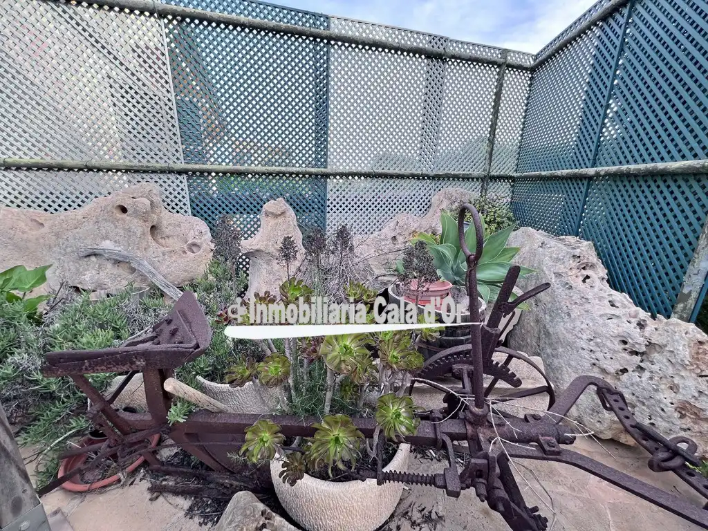 Jardí de Casa o xalet en venda en Felanitx amb Aire condicionat, Calefacció i Terrassa