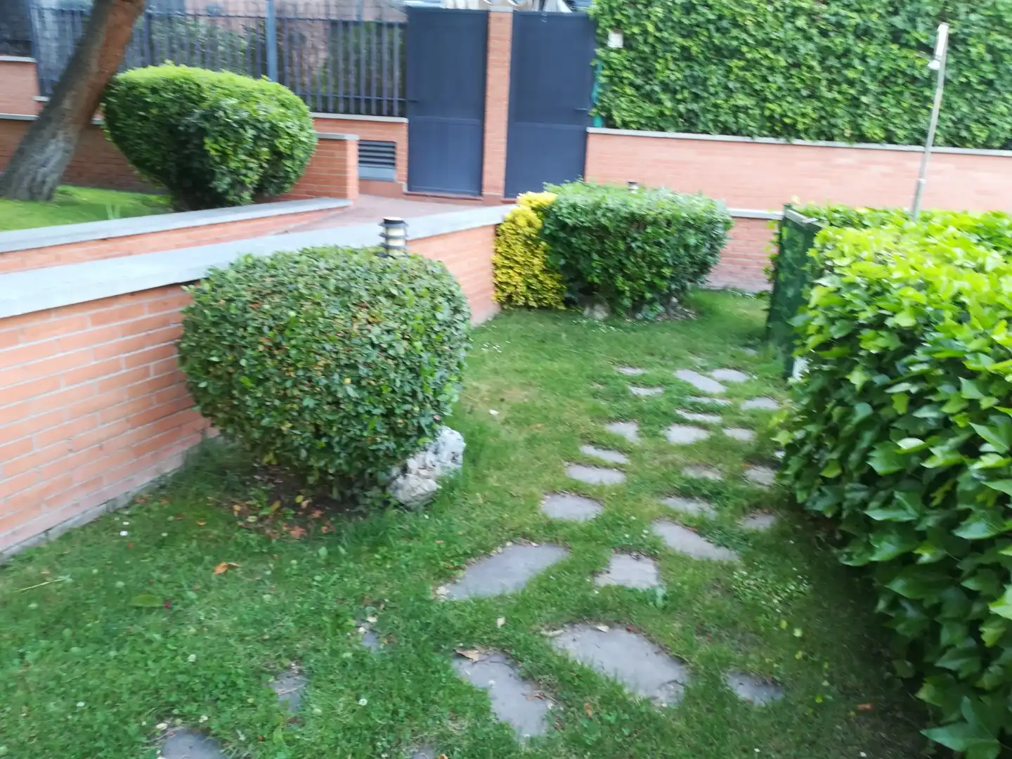 Jardín de Casa o chalet para compartir en Madrid con Jardín privado, Parquet y Terraza