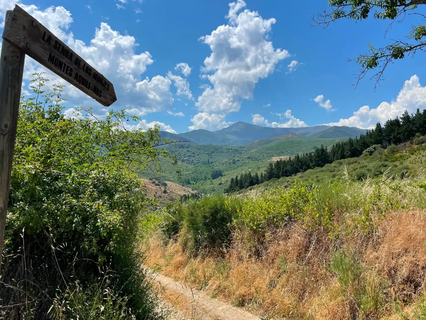 Vista exterior de Finca rústica en venda en Ponferrada