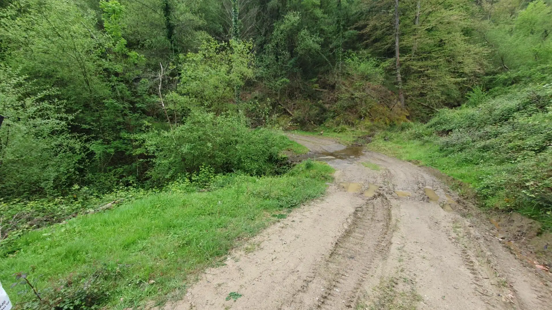 Land for sale in Laudio / Llodio