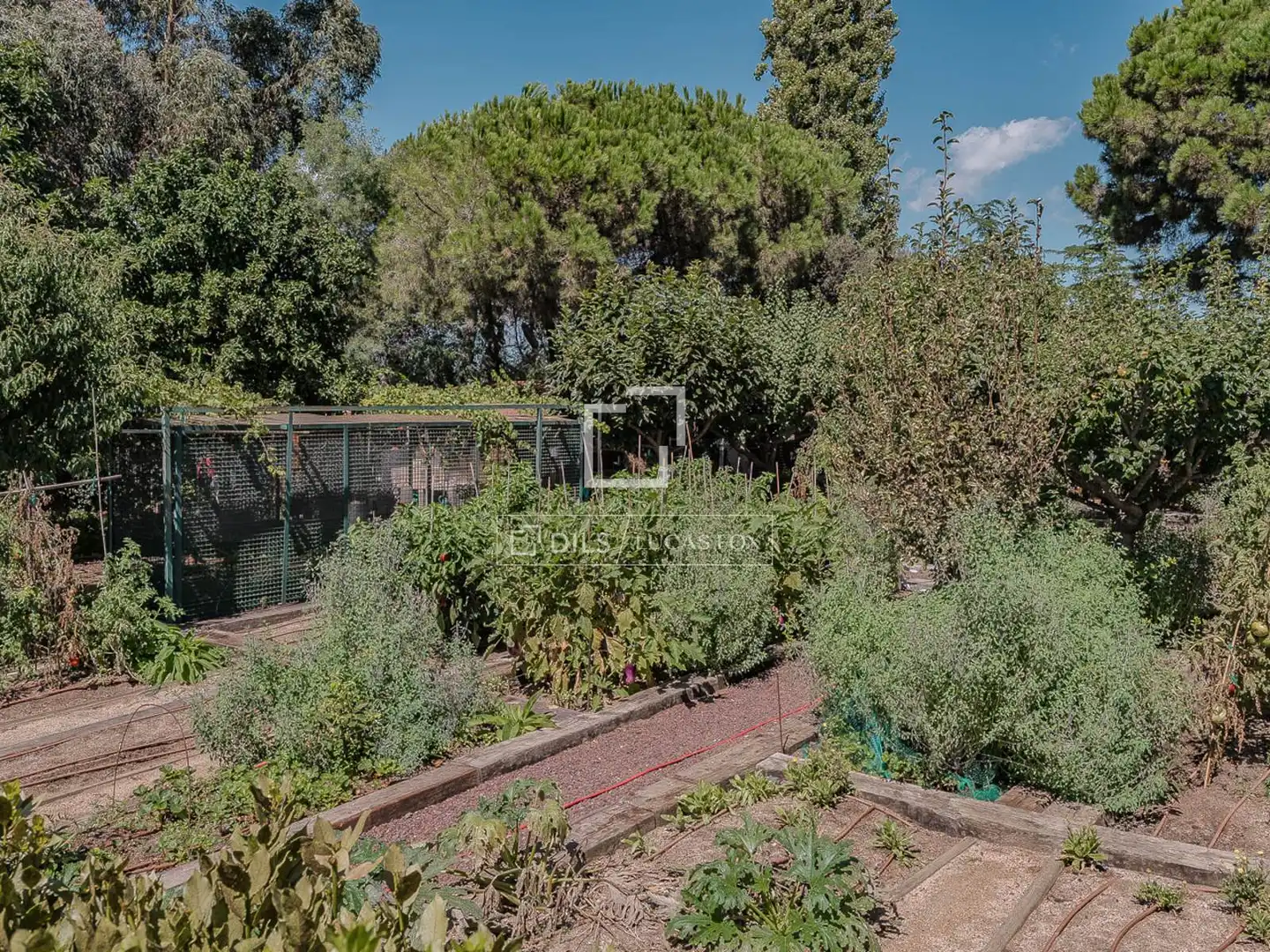 Villa avec piscine à vendre à Sarrià - Sant Gervasi, imagen 60