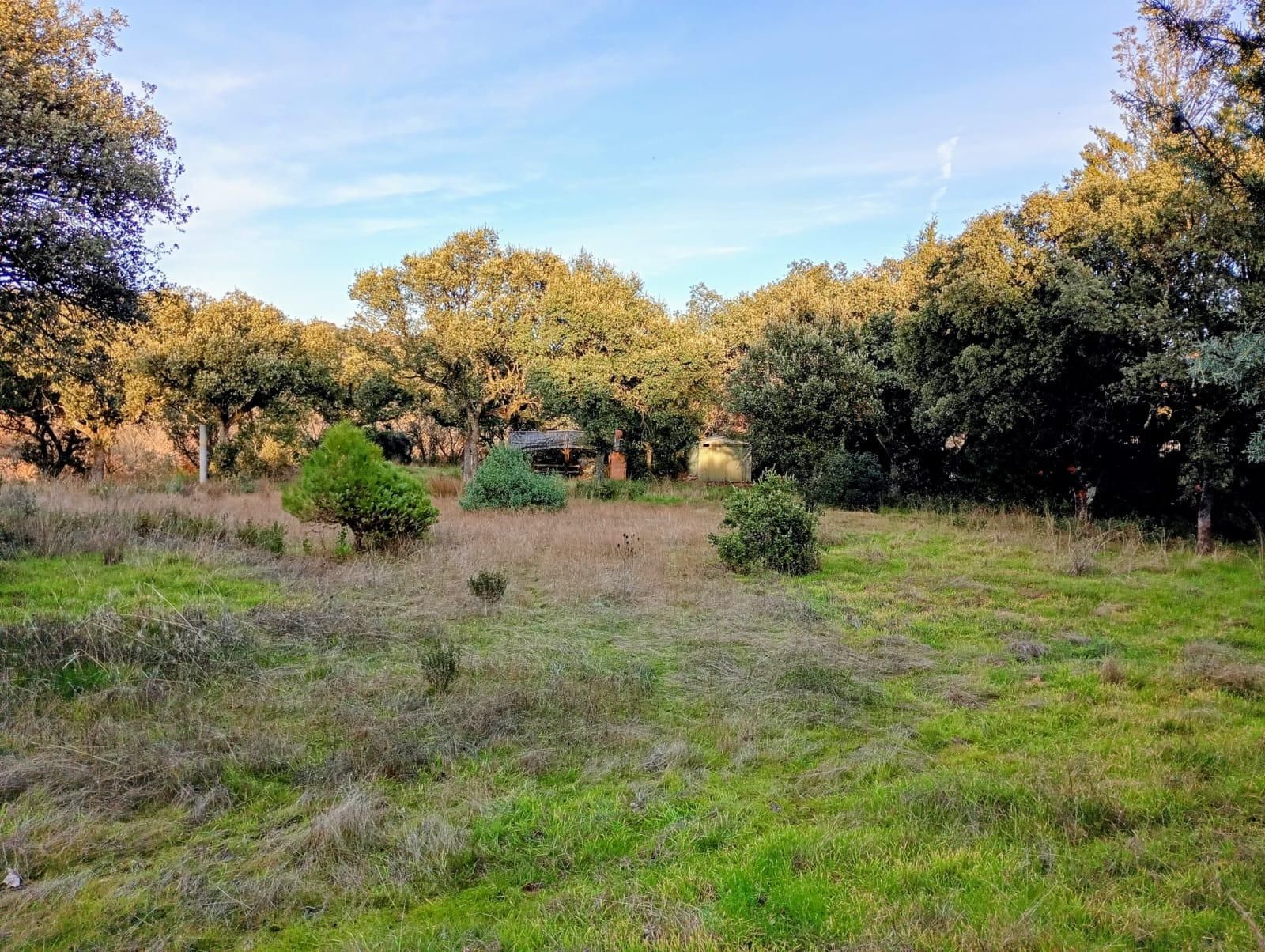 Residential for sale in Villanueva de la Cañada