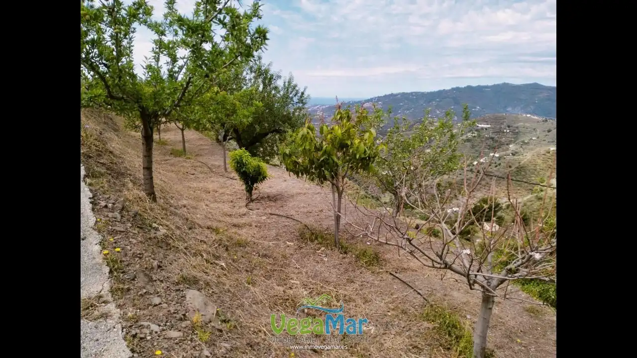 Finca rústica en venta en Ítrabo con Terraza y Piscina
