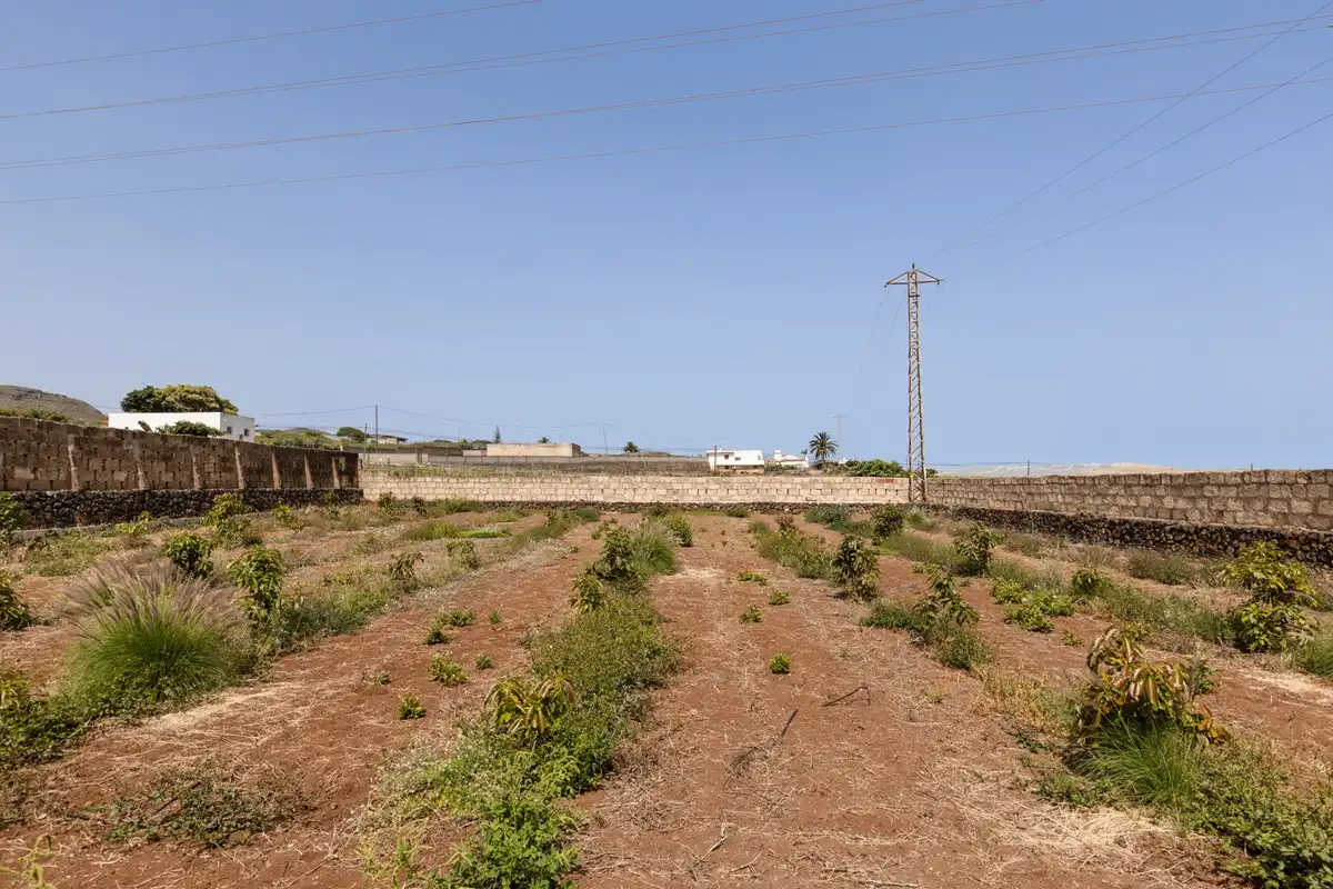 Country homes for sale in San Cristóbal de la Laguna  with Private garden, Terrace and Balcony